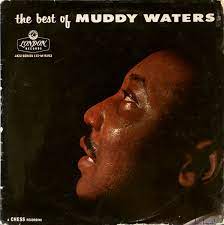Muddy Waters: The Best of Blues Resonance