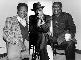 Blues Titans: The Timeless Legacy of John Lee Hooker and Muddy Waters