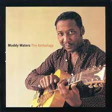 Exploring the Timeless Legacy: Muddy Waters’ Iconic Albums in Blues History