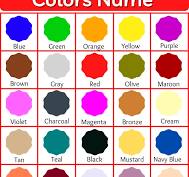 Exploring the Beauty of Different Colors: A Visual Journey