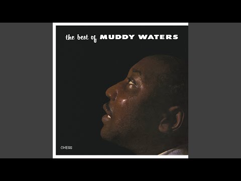 the best of muddy waters