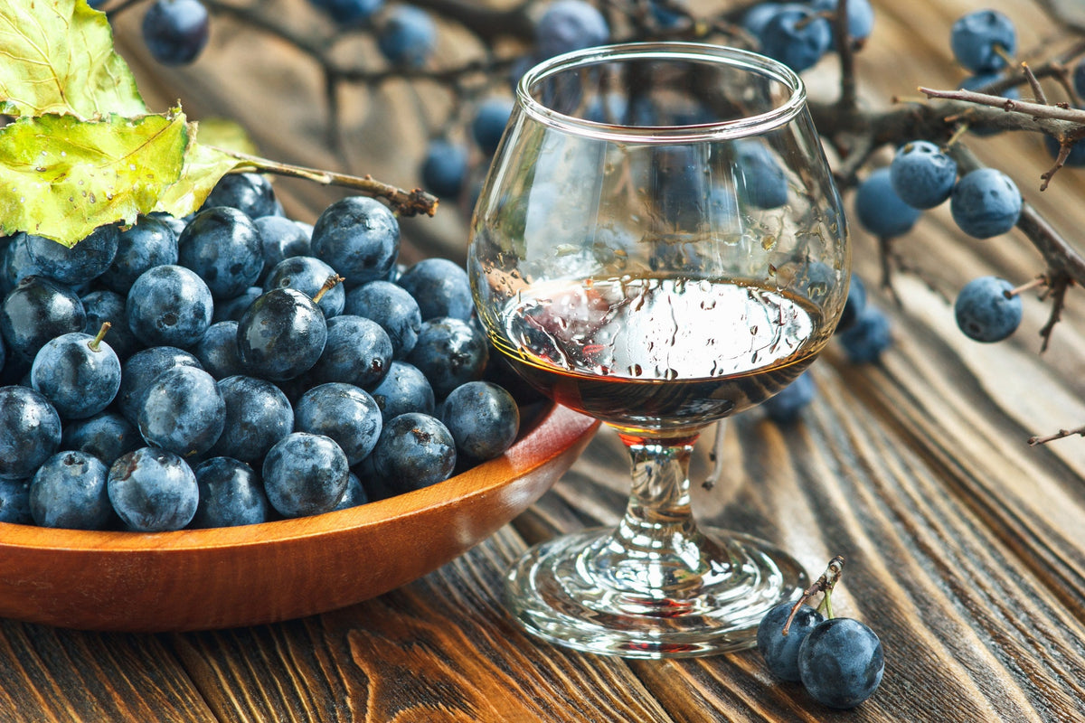 how to drink sloe gin