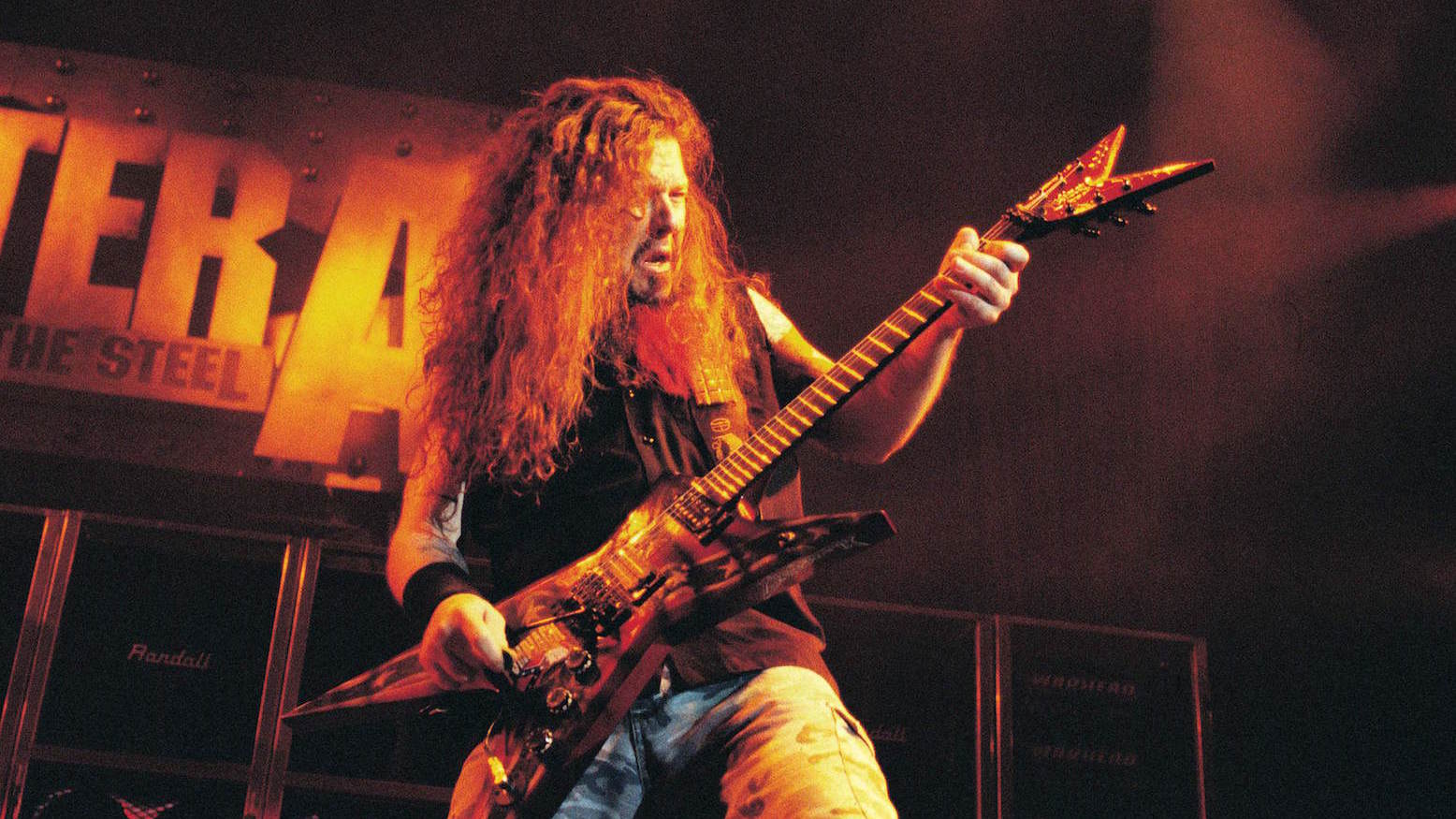 dimebag darrell guitar